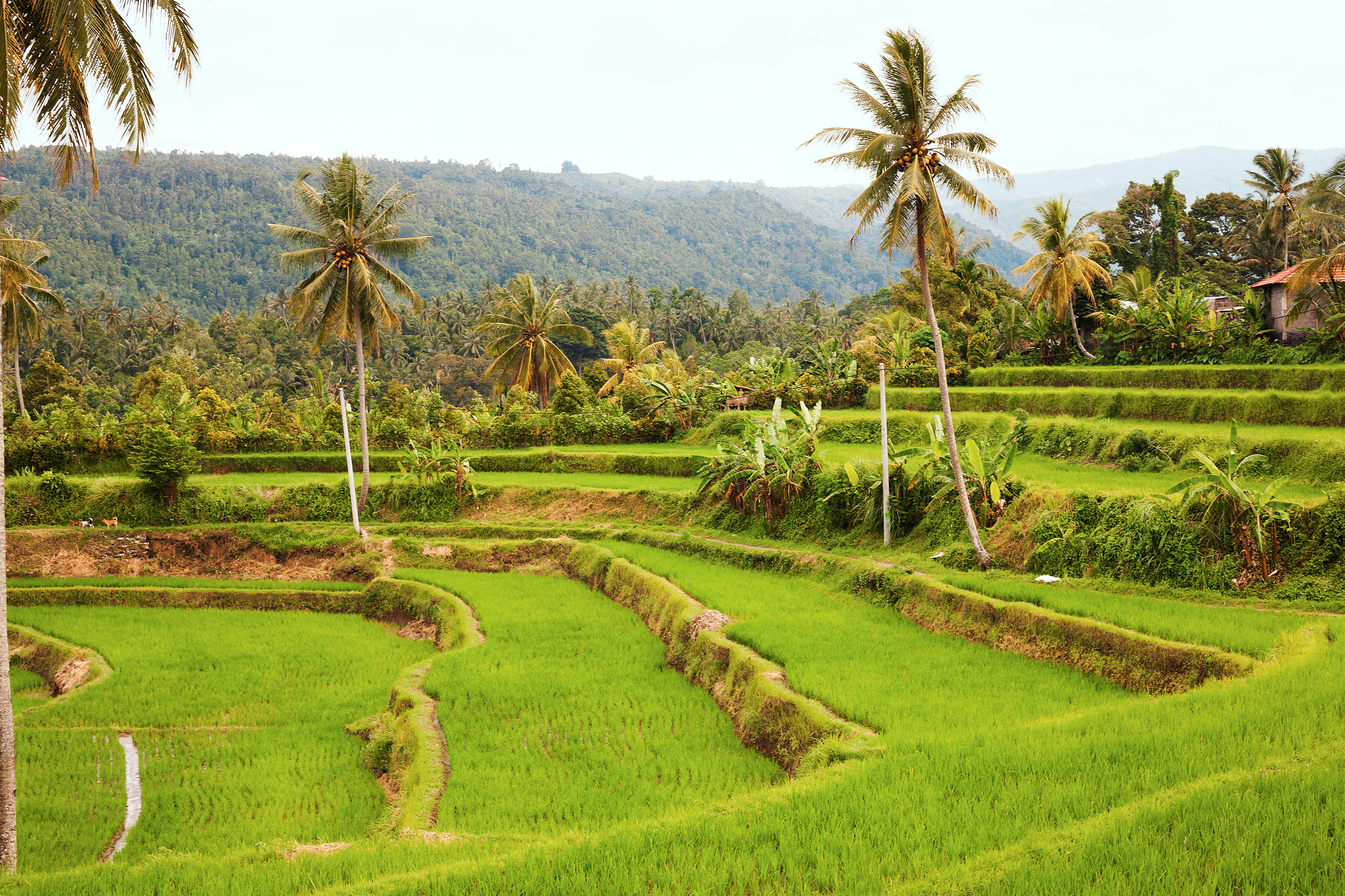 Nusa Dua
