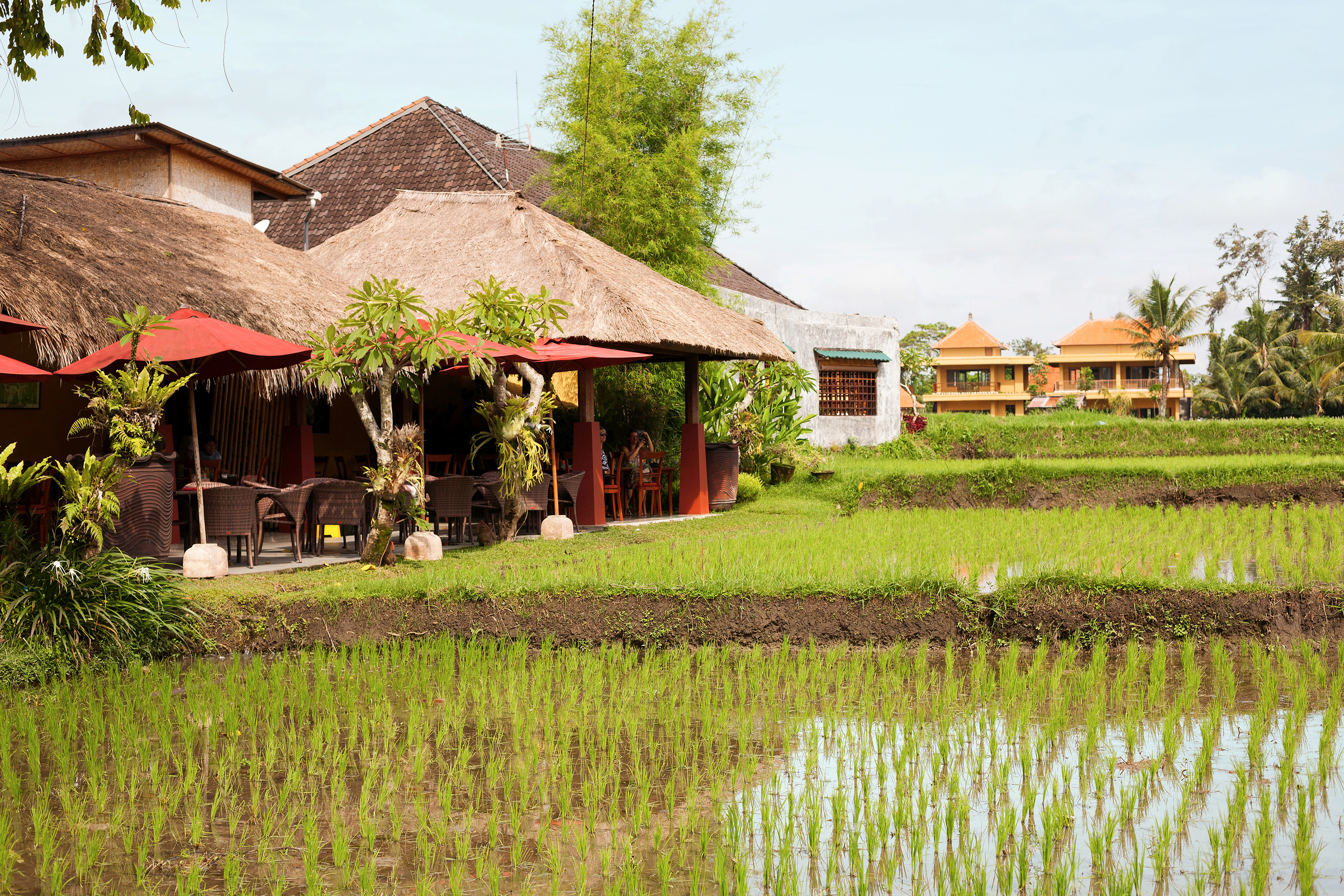 Ubud