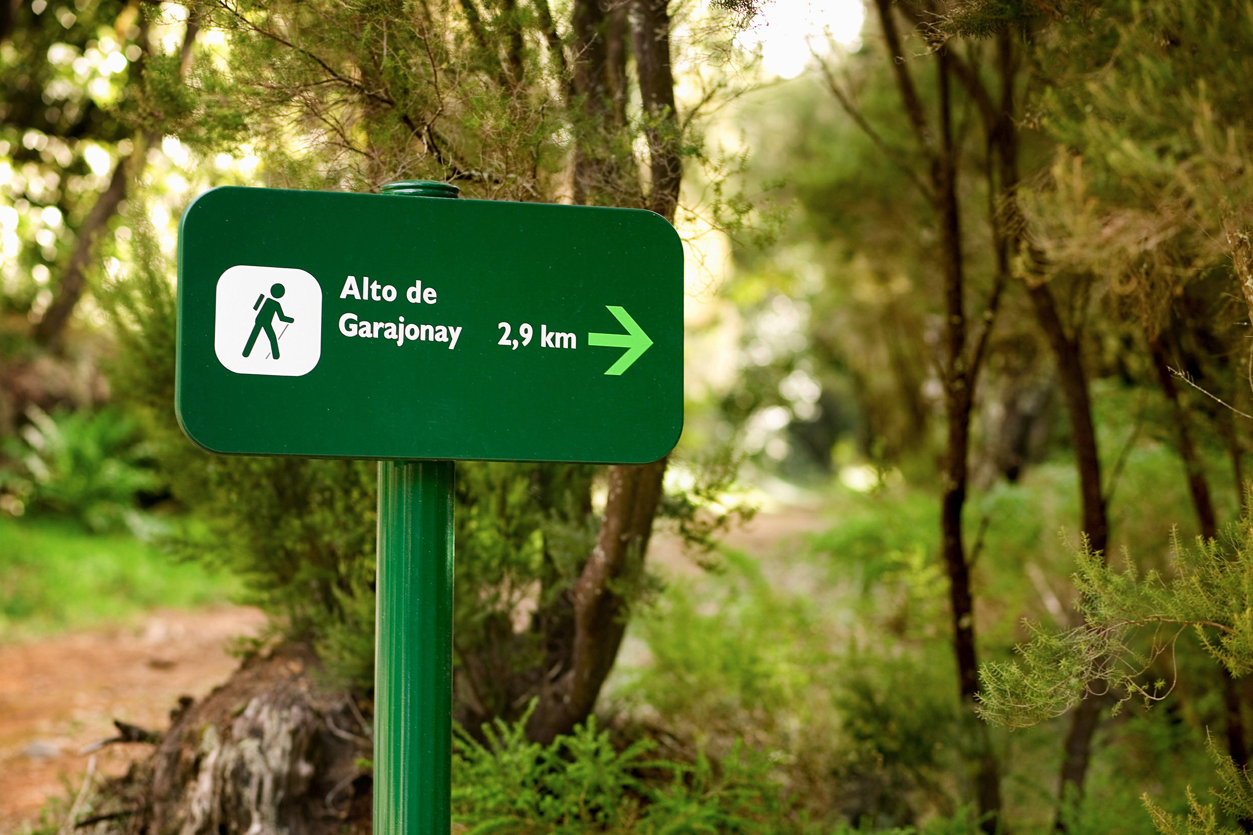 Naturreservatet Garajonay