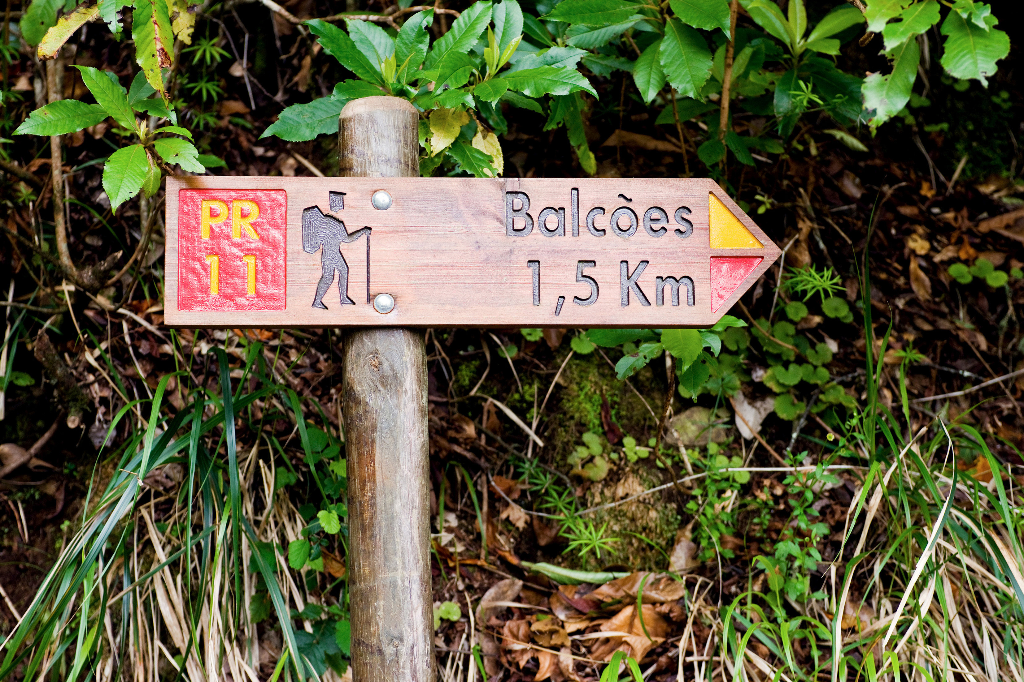 Gå på vandring på Madeira