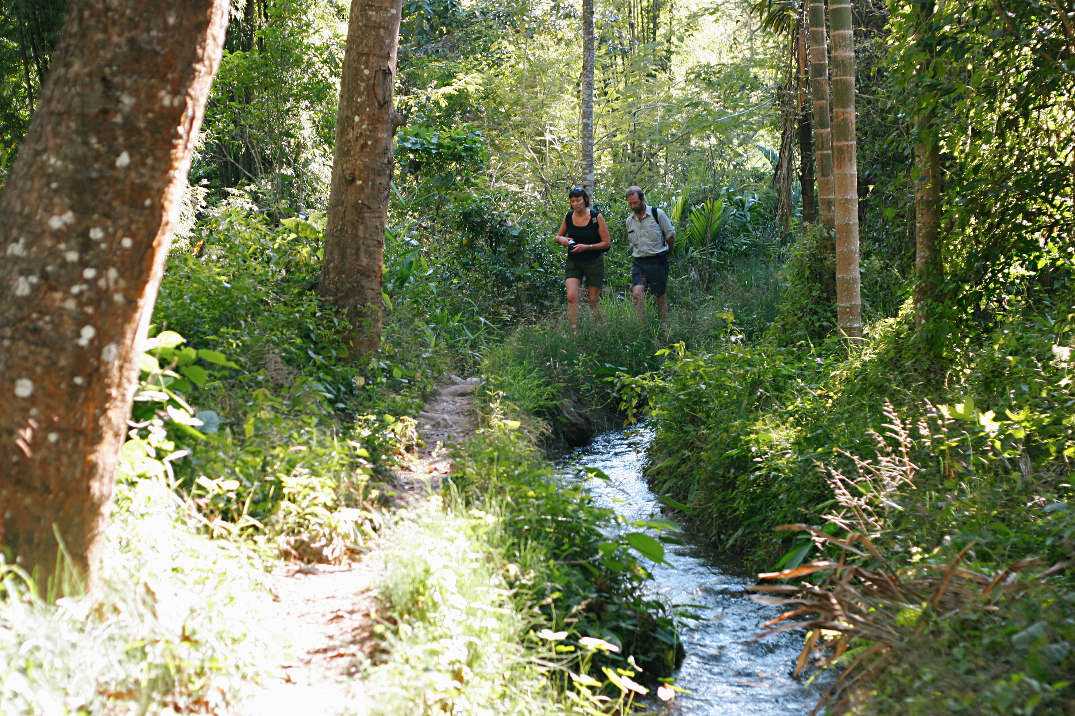 Vandring i Chiang Mai