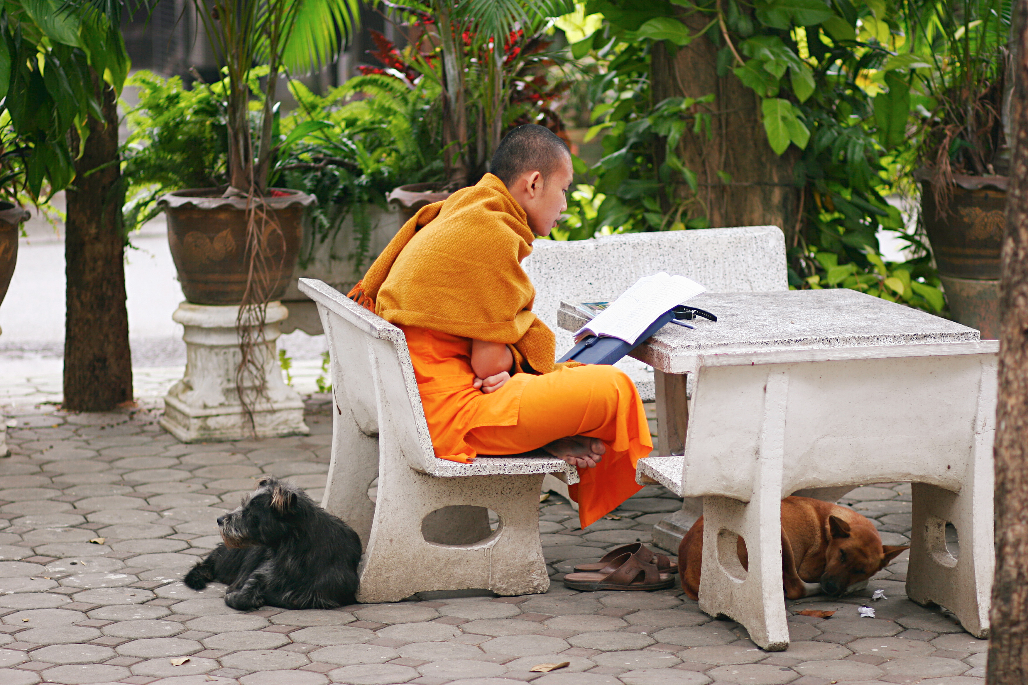 Chiang Mai