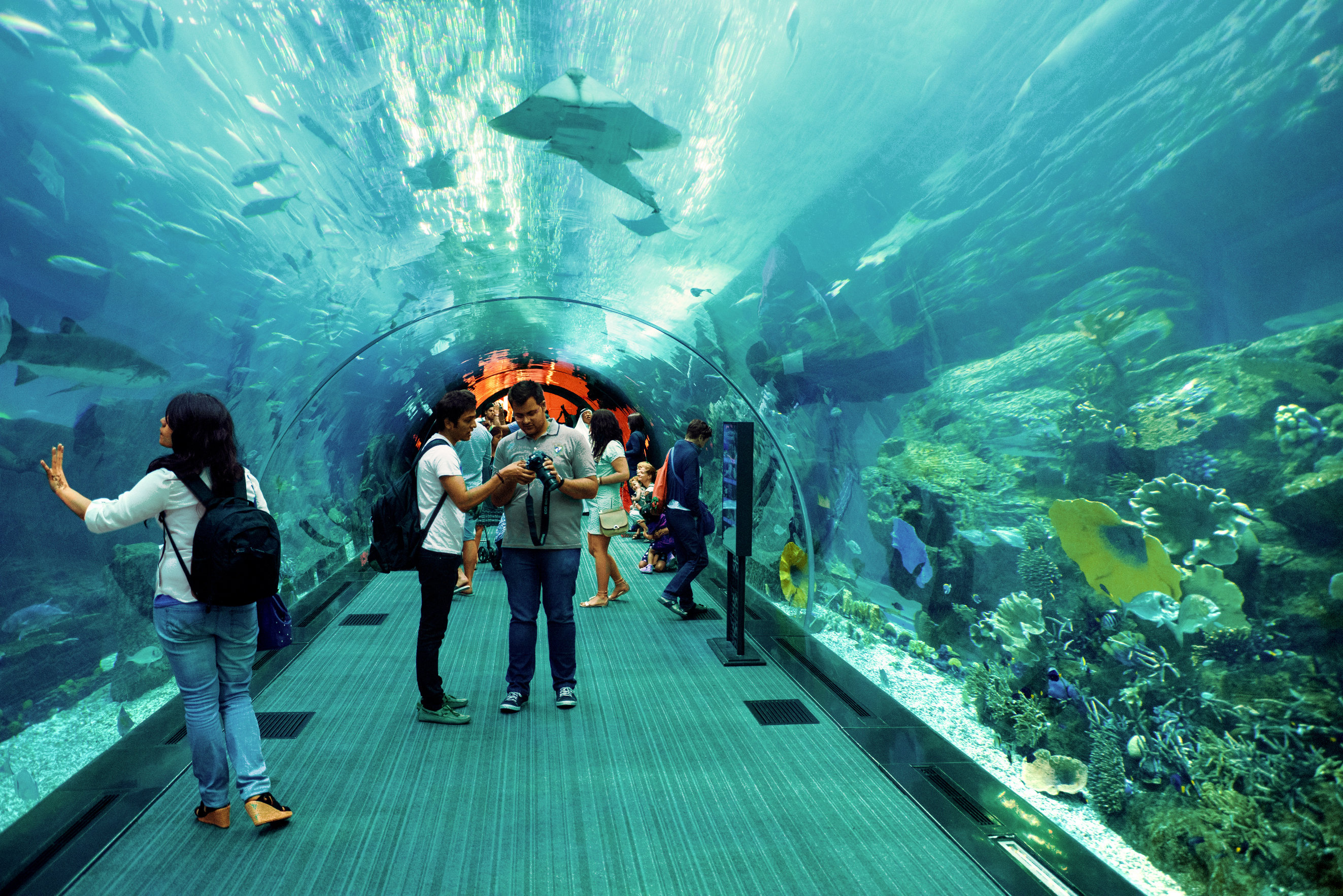 Dubai Mall, Downtown Dubai
