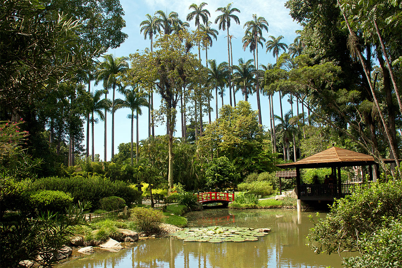 Rio de Janeiros botaniska trädgård