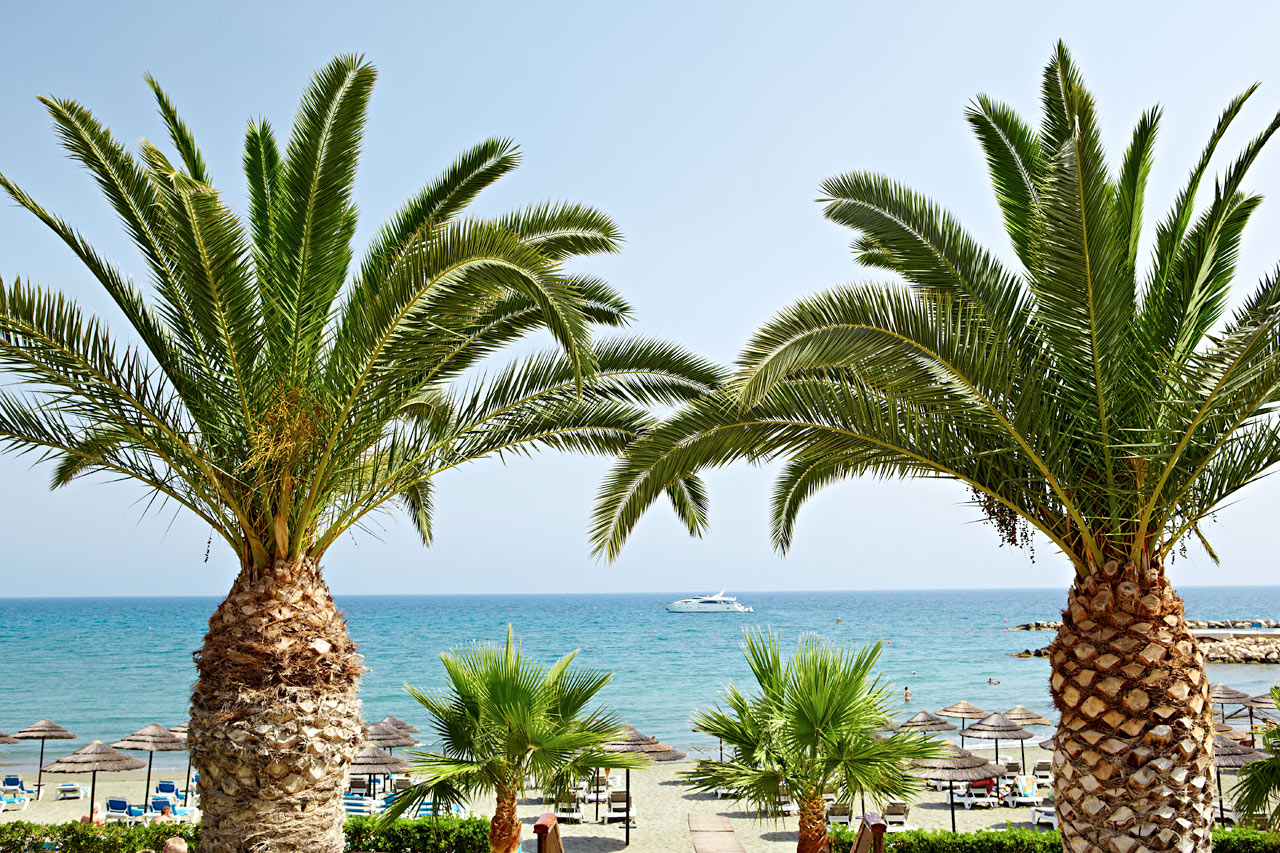 Limassol