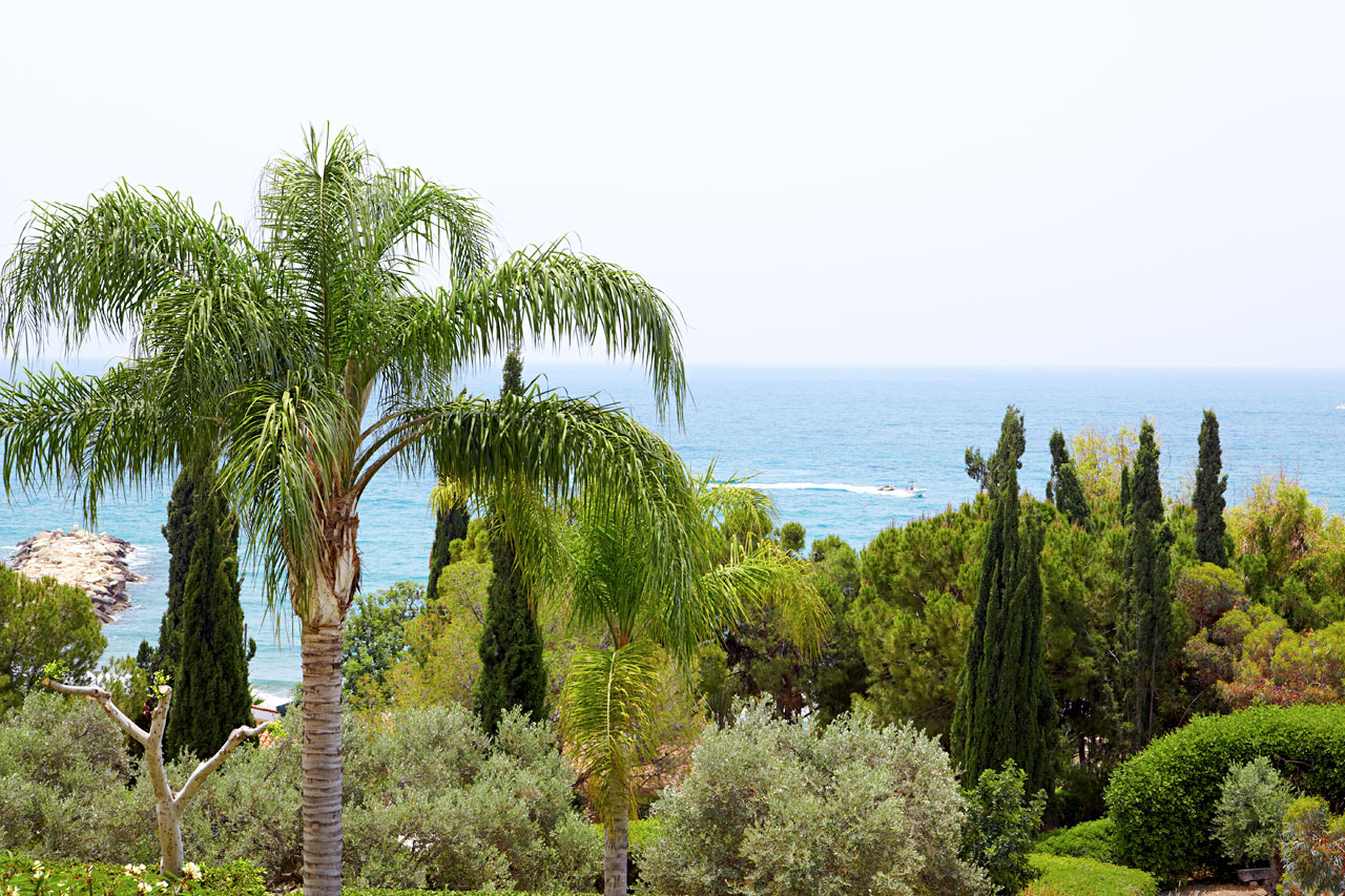 Limassol