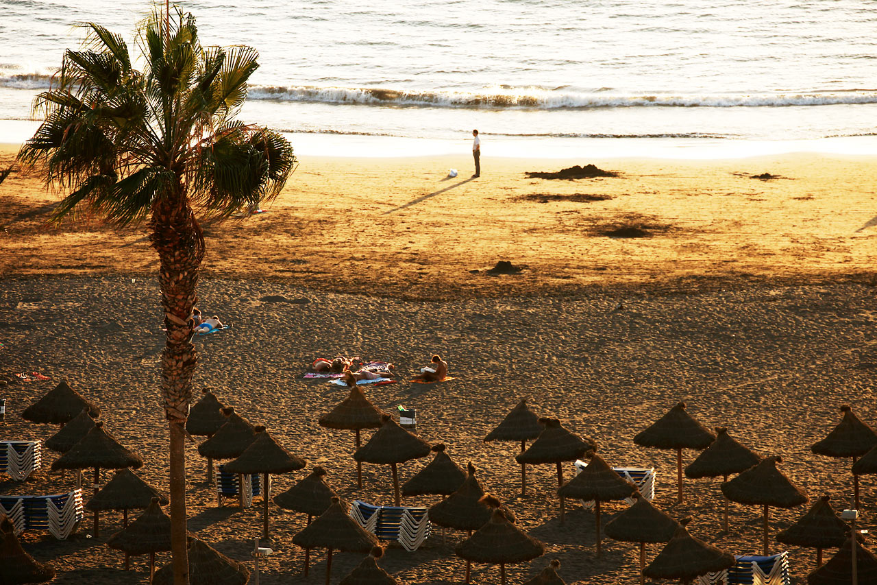 Stranden i Playa de las Américas, Teneriffa