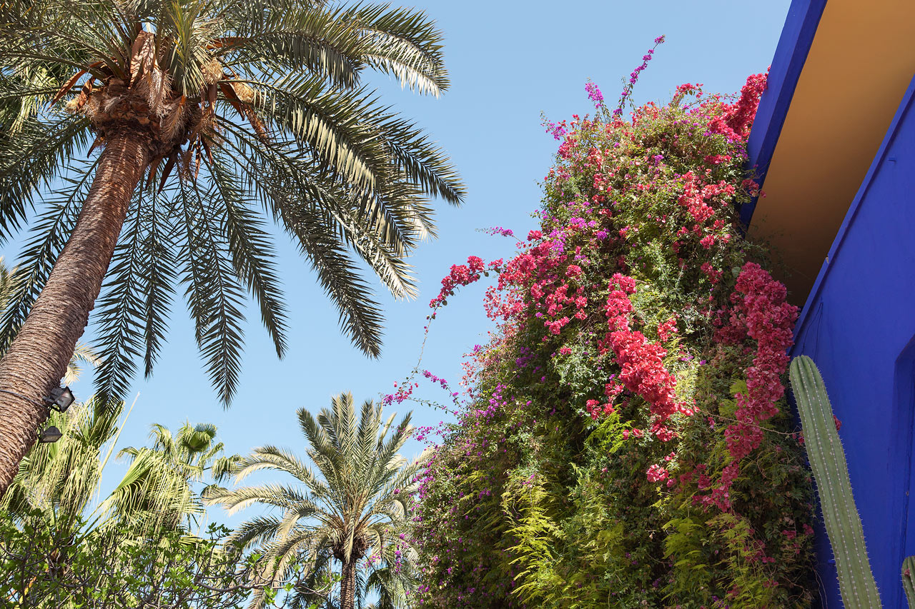Jardin Majorelle i Marrakech