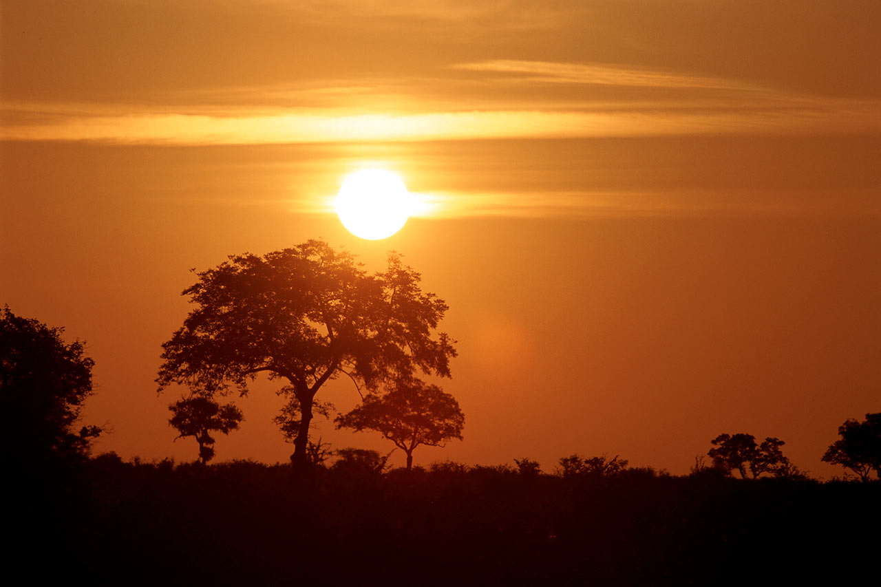 Krugerparken