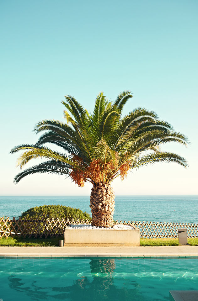 Från Ocean Beach Clubs pooler har du vacker utsikt över havet.