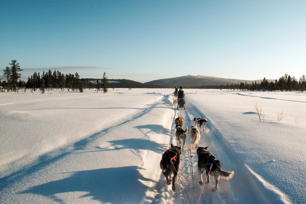 Hundspannstur