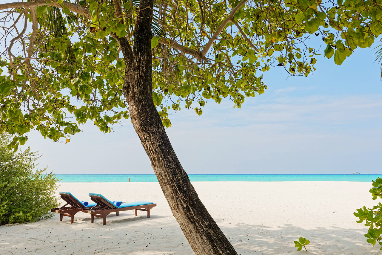 Deluxe Beach Villa