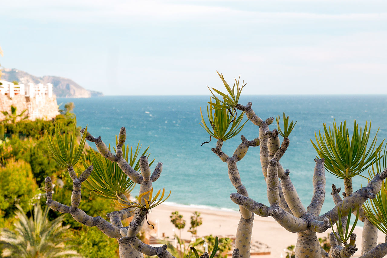 Playa Burriana
