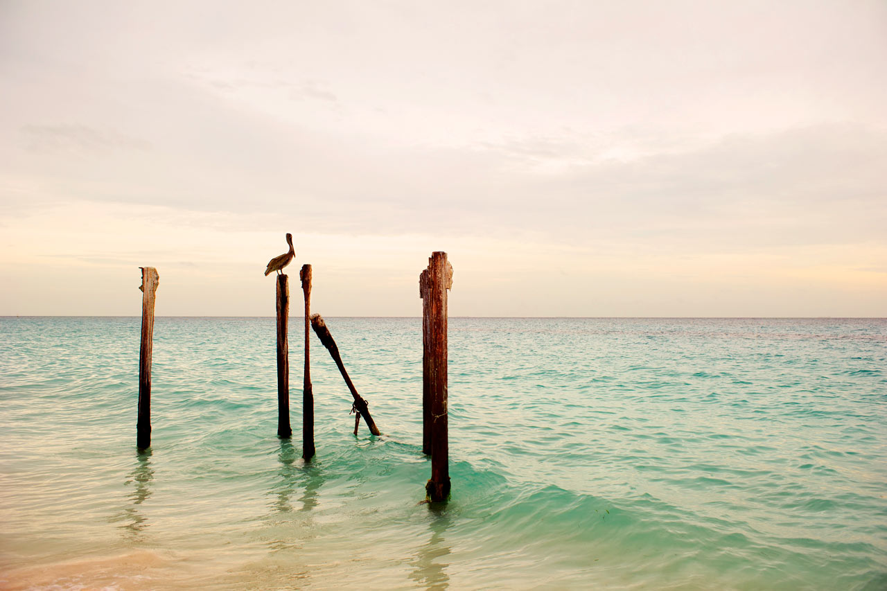 Druif beach