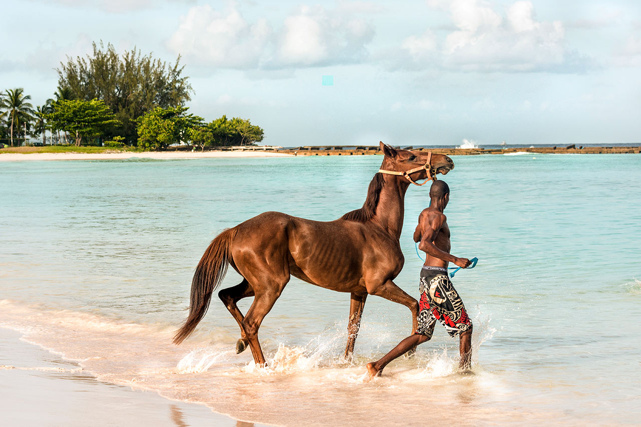 Carlisle Bay