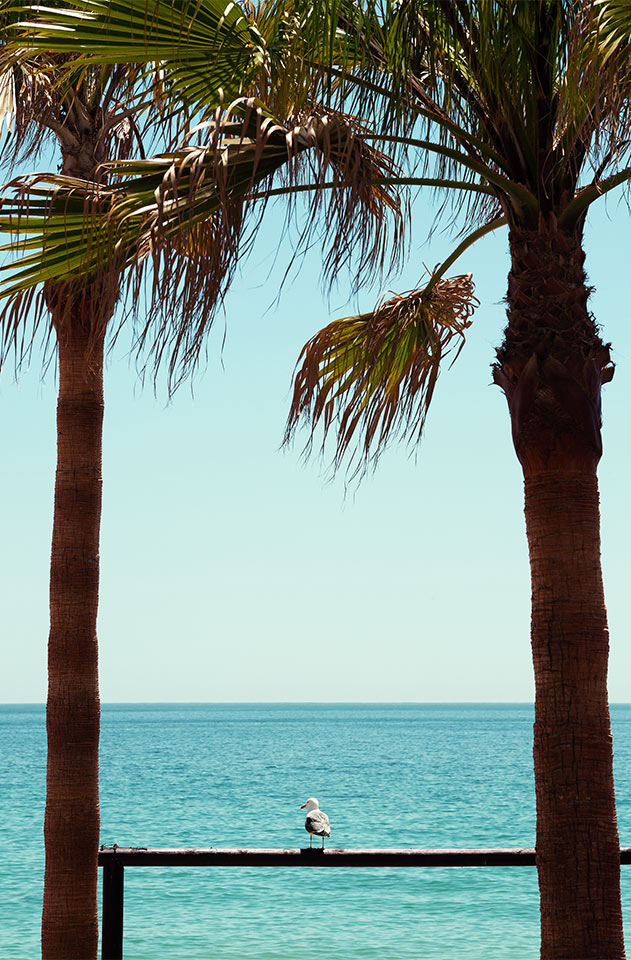 Praia dos Alemaes