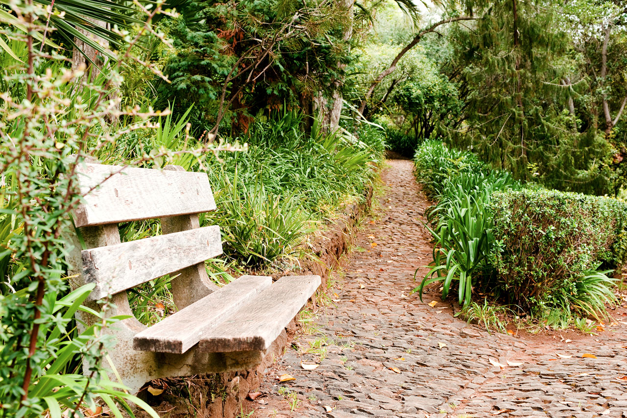 Jardim Botânico da Madeira