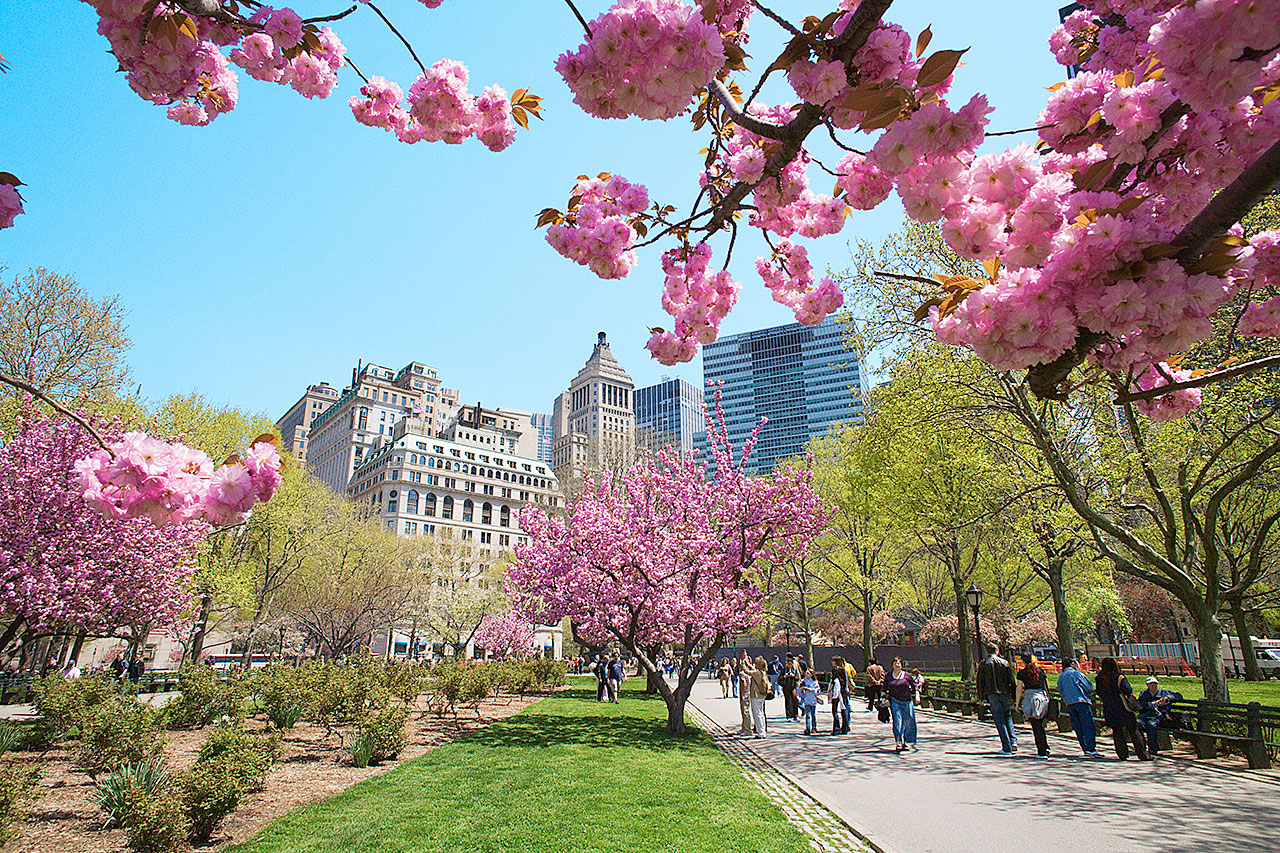 Central park