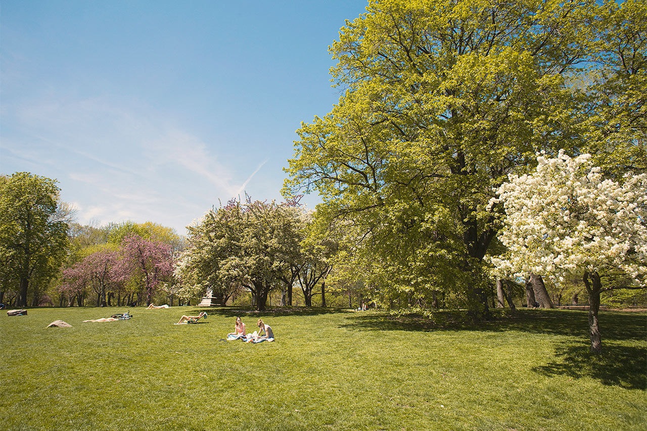 Central Park
