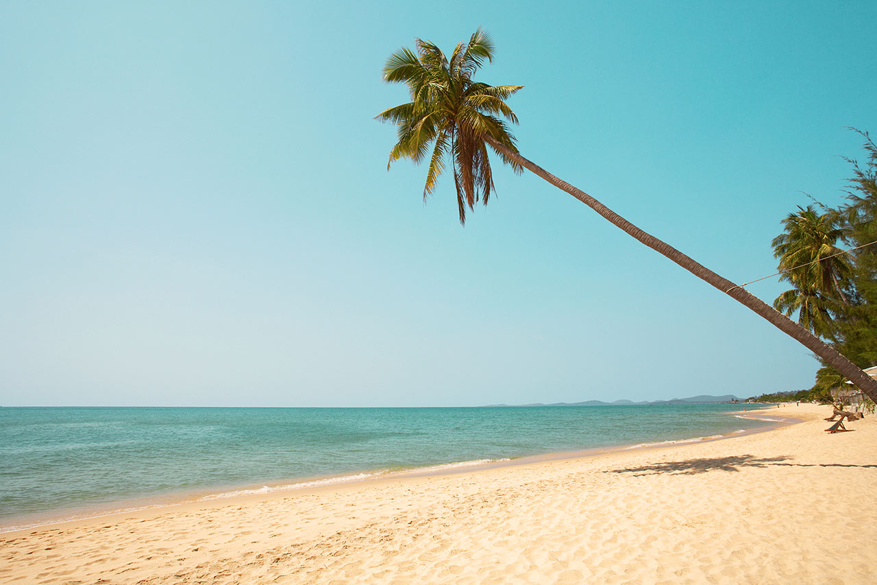 Stranden vid Vings hotell Cassia Cottage