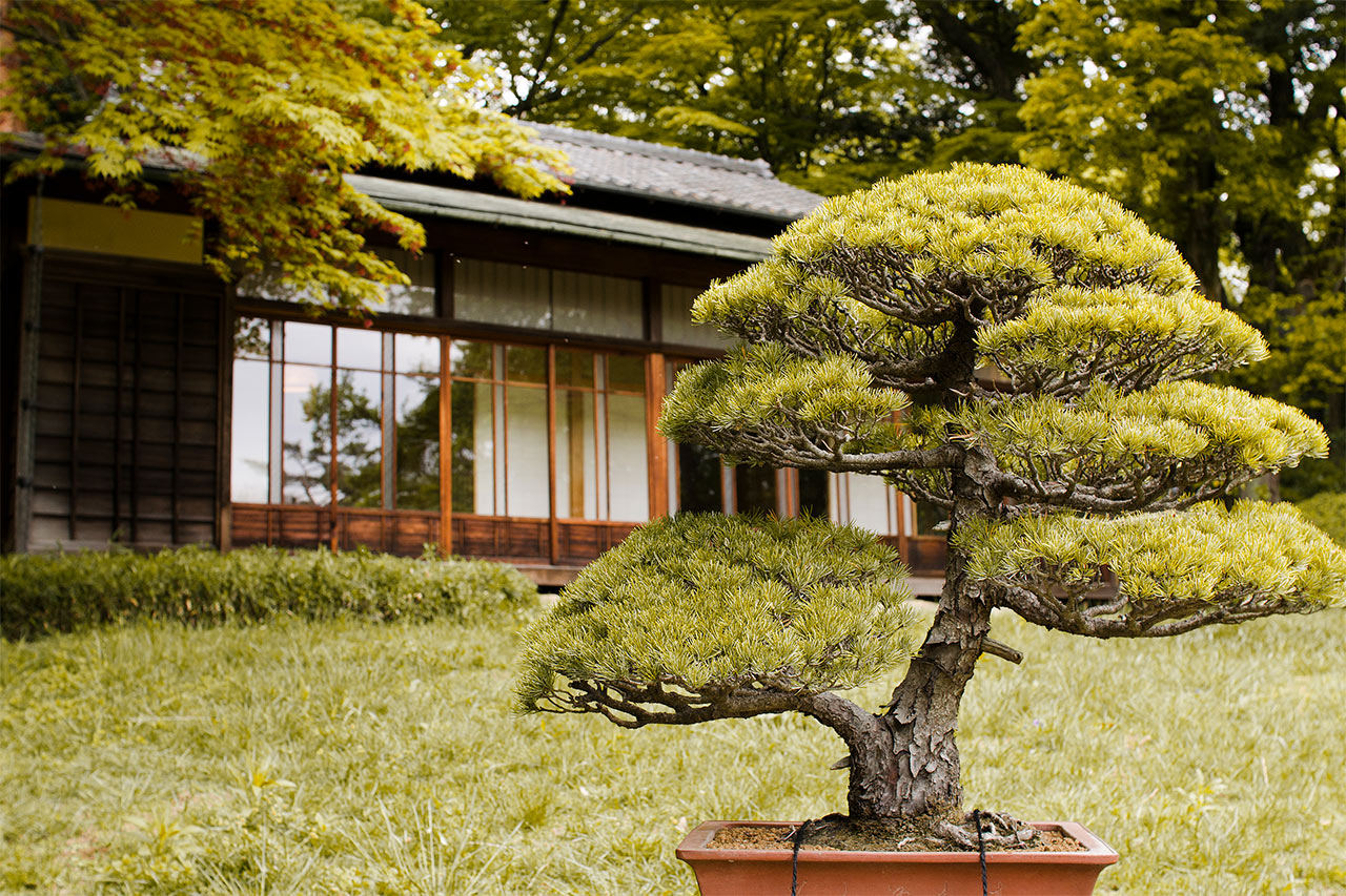 Meiji-templet